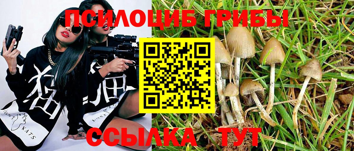 даркнет сайт  Галлюциногенные грибы мицелий  Вход с VPN  Псилоцибиновые грибы мицелий  Прохладный 