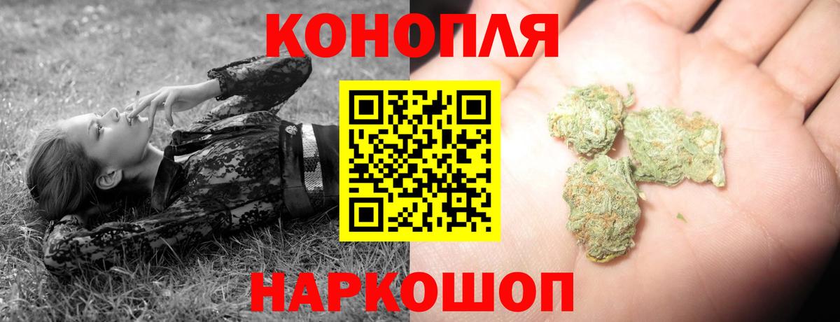 Бошки марихуана гибрид  Вход с VPN  Прохладный  Канабис VHQ 