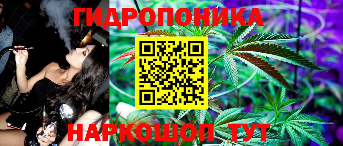 Шишки марихуана White Widow Прохладный